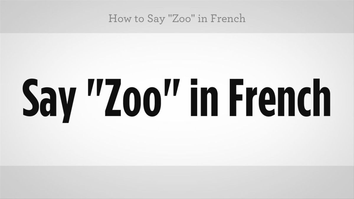 How to Say "Zoo" in French Howcast
