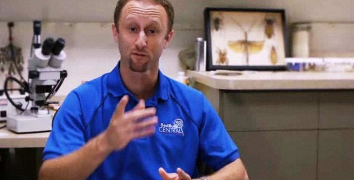 How to Get Rid of Bugs & Pests with Jeff White Howcast