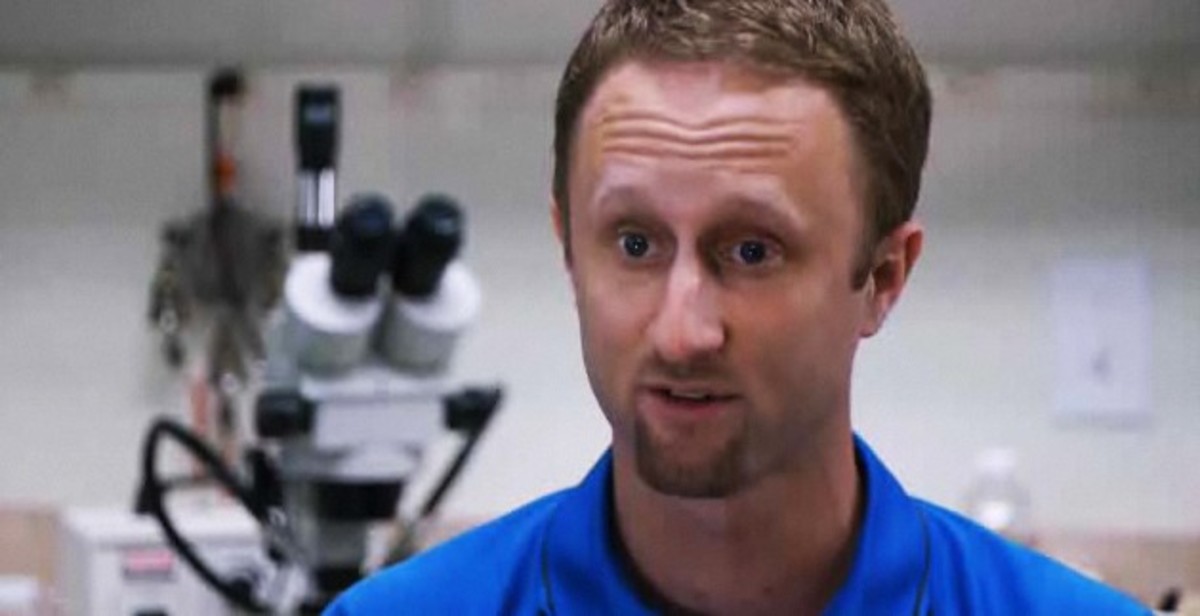 What Is a Bed Bug? Howcast