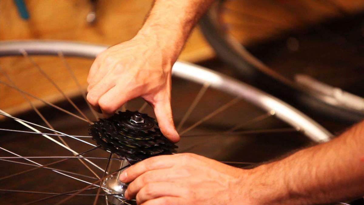 How to Adjust a Bicycle Freewheel Howcast