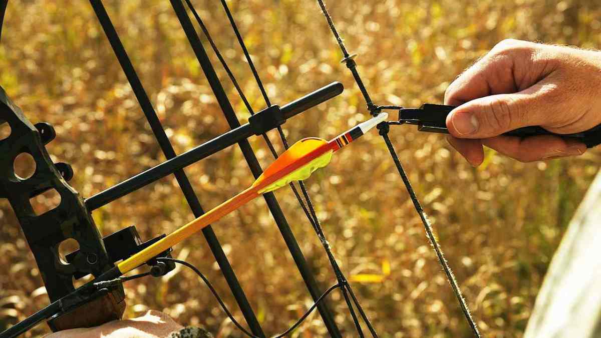 How to Replace Bow Strings in Archery Howcast