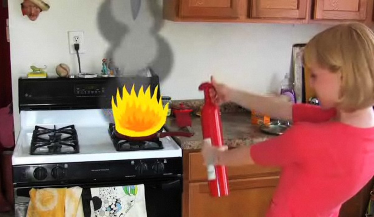 How to Put Out a Grease Fire Howcast