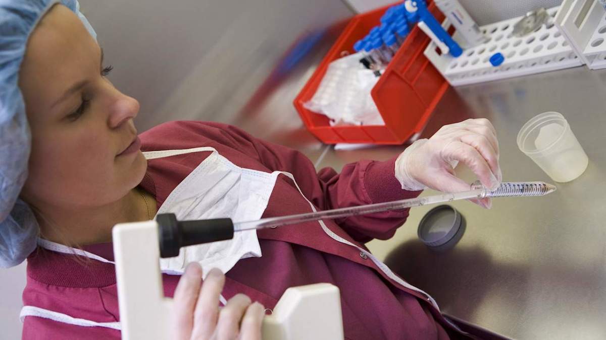 Assisted Reproductive Technology (ART) Success Rate Howcast