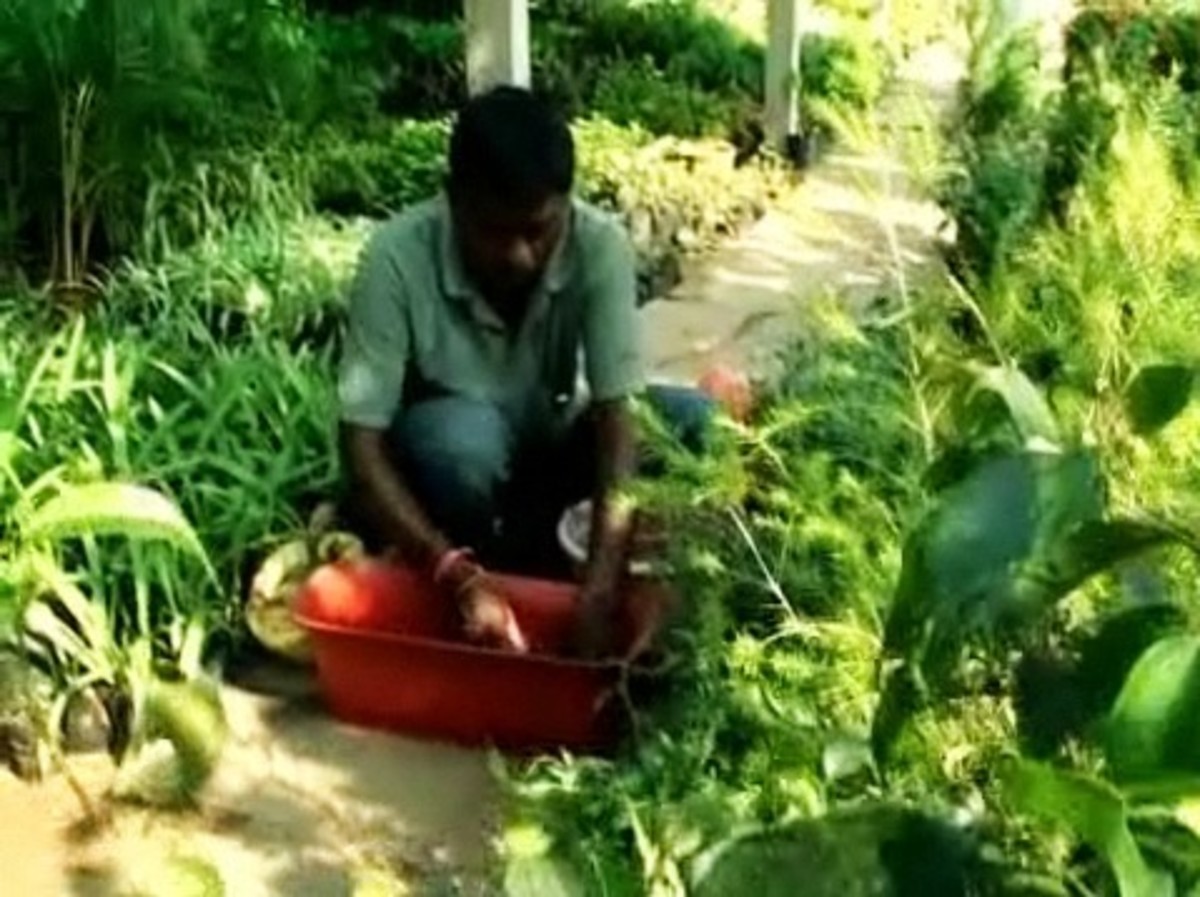 How to amend clay soil howcast