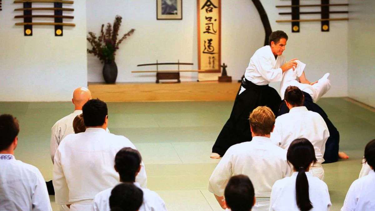 What Is Aikido? Howcast
