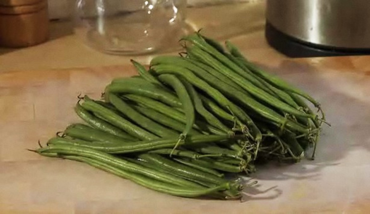 can you freeze ham and green beans