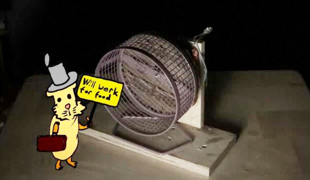 How to Make a HamsterPowered Night Light Howcast