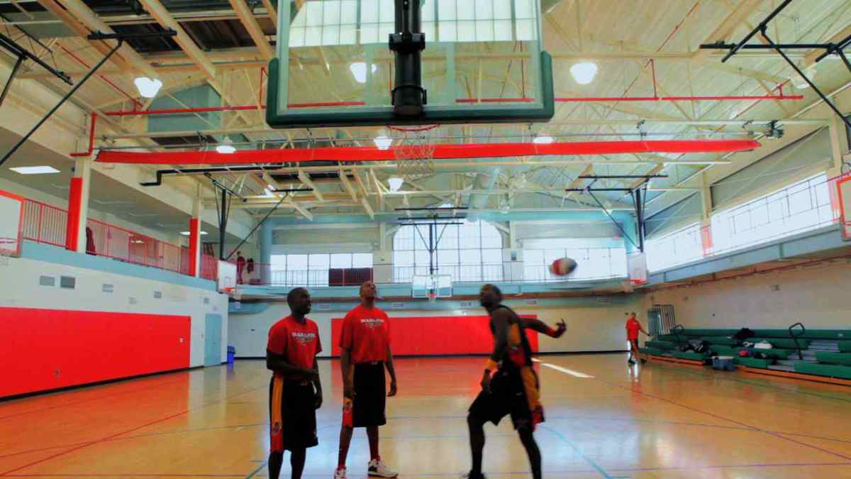 How to Do a Behind Your Back Basketball Move Howcast