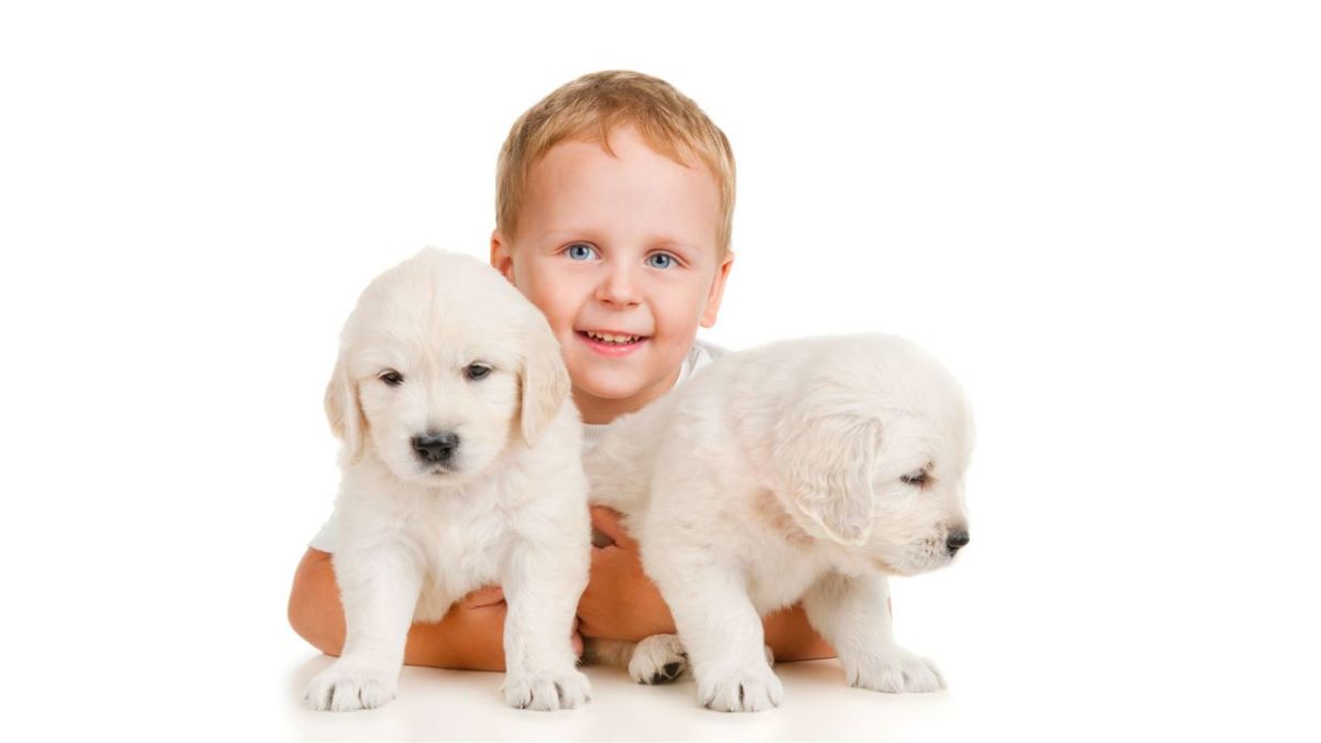 How to Play with Your Puppy Howcast