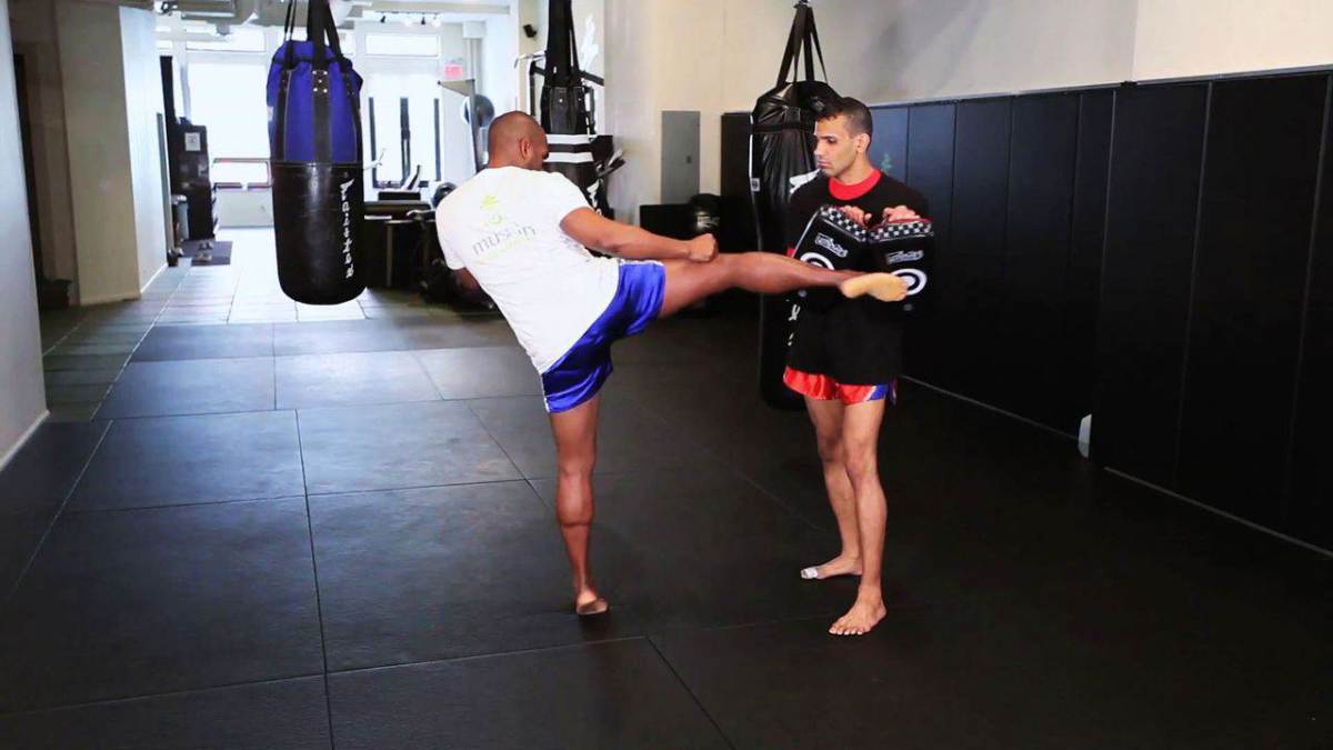 Roundhouse Kick удар