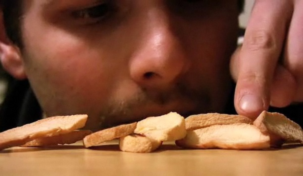 How to Dry Apple Slices for Crafts Howcast