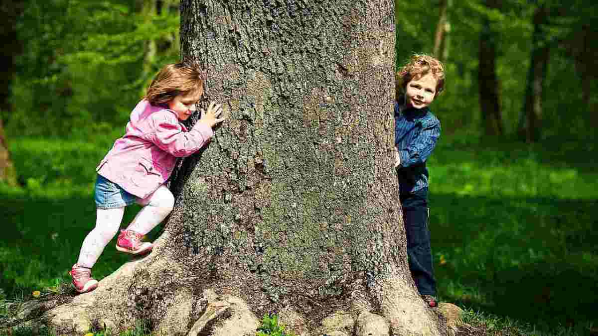Прятки первый выпуск. Дети играют в ПРЯТКИ. Догонялки вокруг дерева. Ребенок за деревом. "ПРЯТКИ".