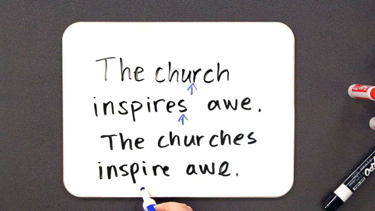 Singular vs. Plural Verbs Howcast