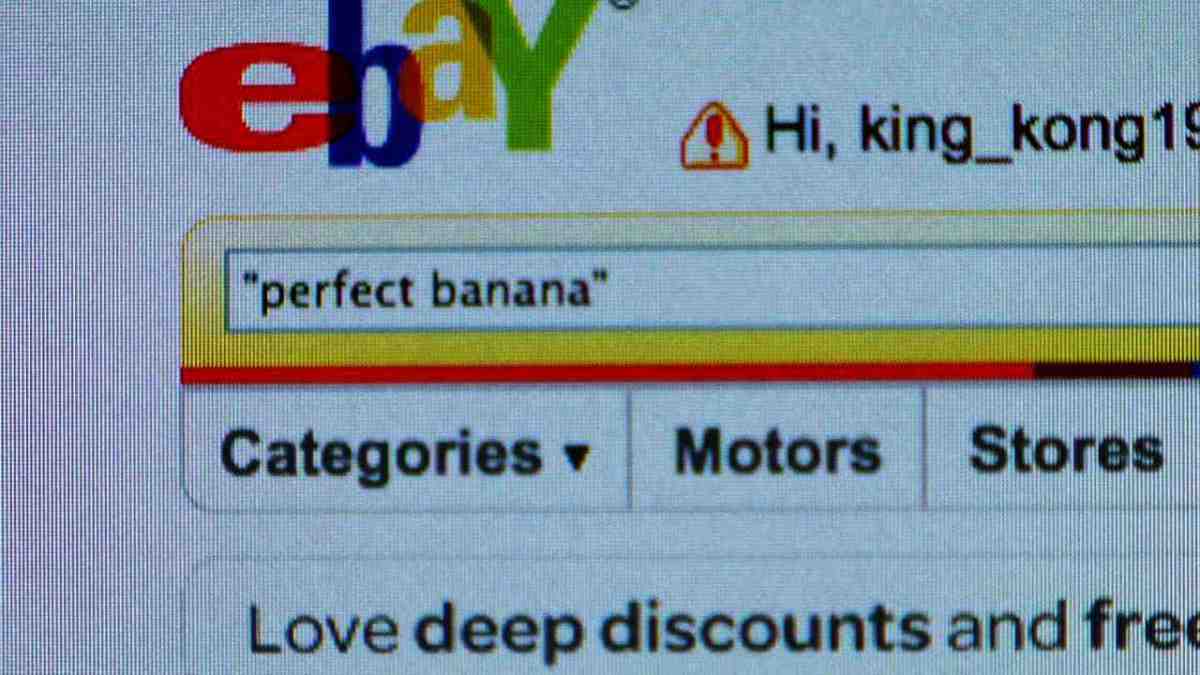 How to Buy on eBay Howcast