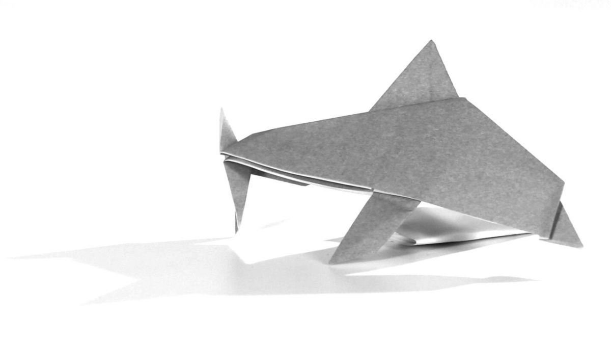 How To Make An Origami Dolphin Howcast