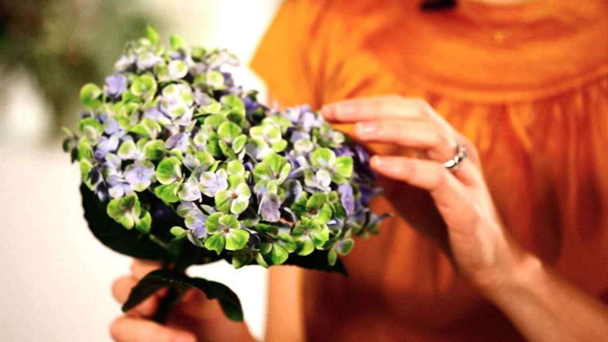 How to Make Hydrangeas Last Longer in a Floral Arrangement Howcast