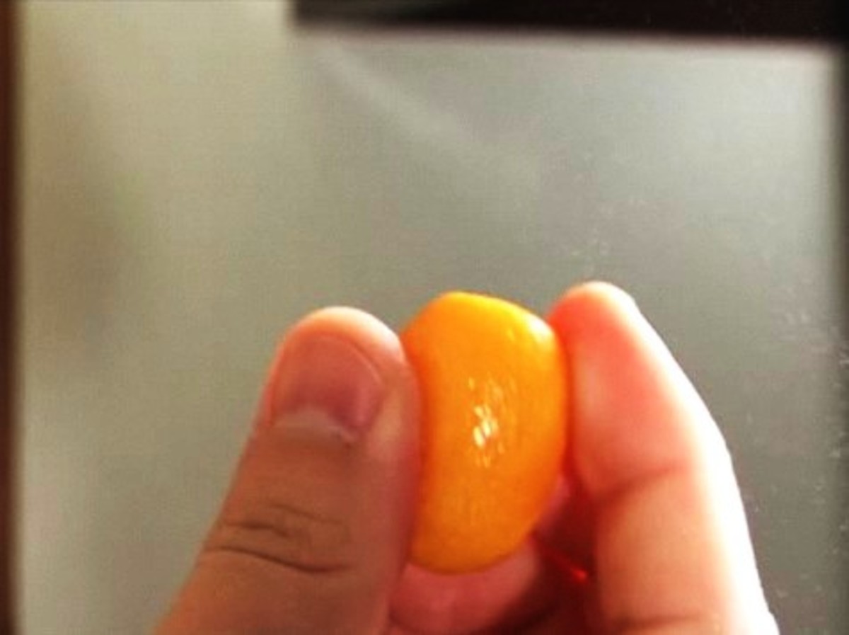 How to Eat a Kumquat Howcast