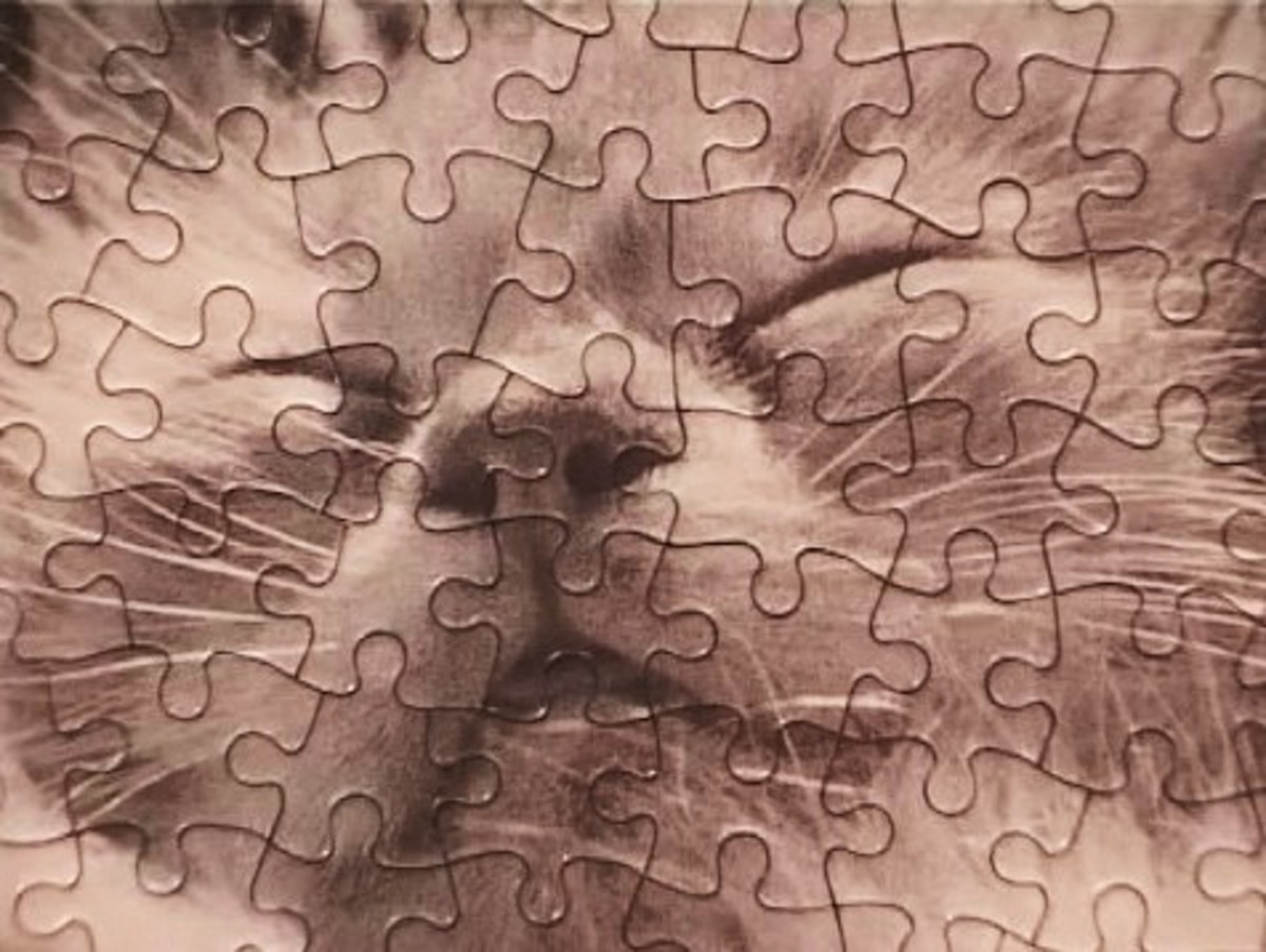 How to Solve a Jigsaw Puzzle - Howcast