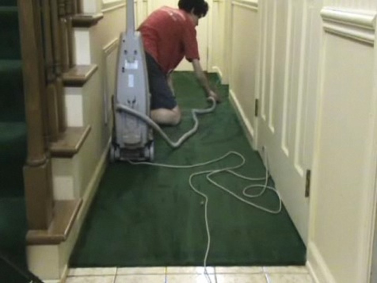 How to Deep Clean Your Carpet Howcast