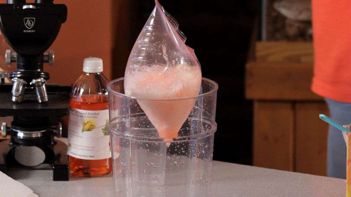 How to Explode a Plastic Bag using Baking Soda & Vinegar Howcast
