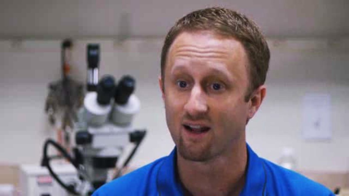 Can Dogs Find Bed Bugs? Howcast