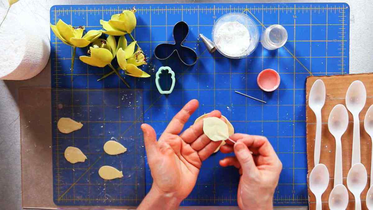 How to Make Orchid Sugar Paste Flower Petals Howcast