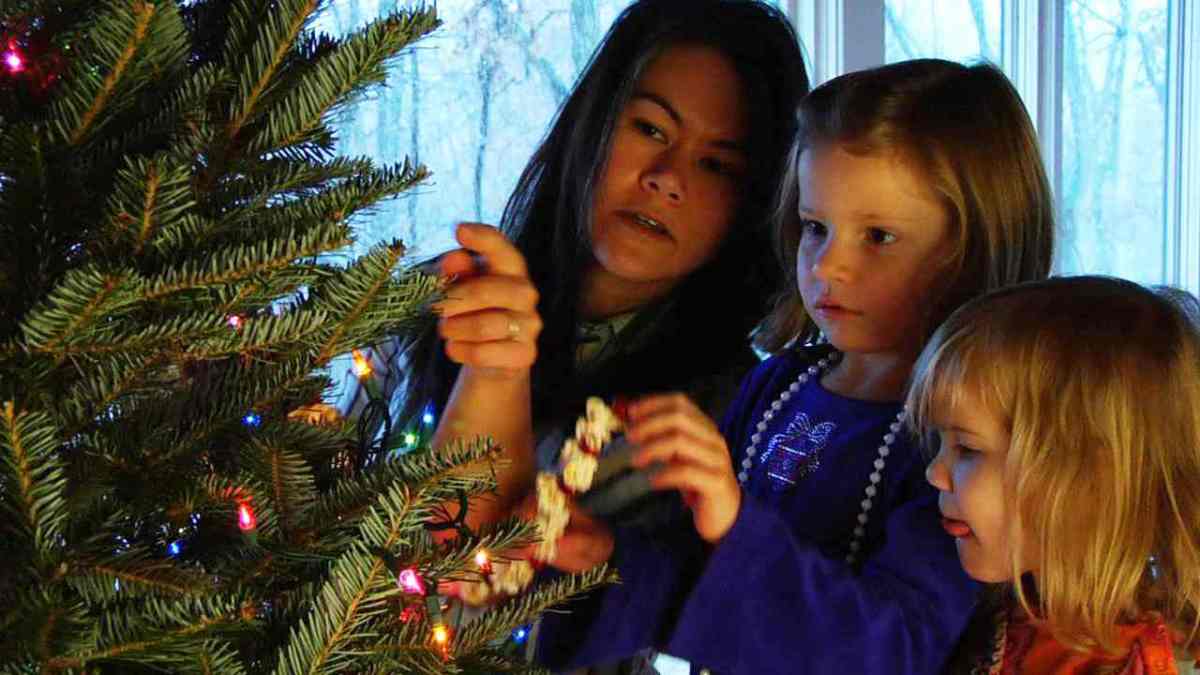 How To Make A Popcorn Cranberry Garland For Your Christmas Tree