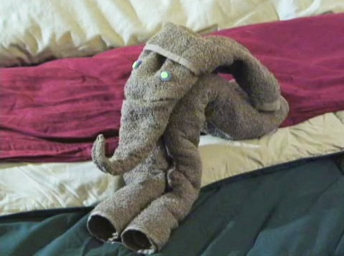 How to Fold a Towel into an Elephant Shape Howcast