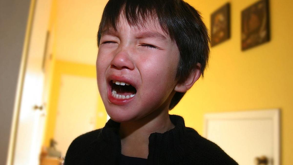 Why Do Children Throw Temper Tantrums? Howcast