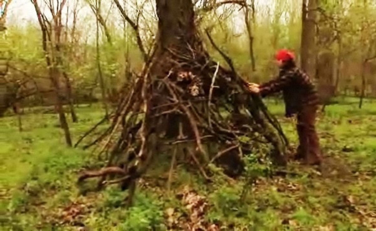 How to Build a Shelter in the Forest Howcast
