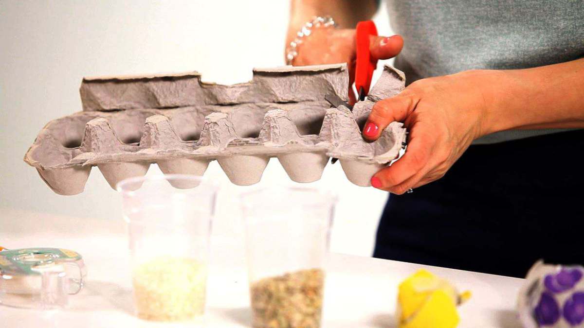 How to Make Maracas out of Egg Cartons Howcast