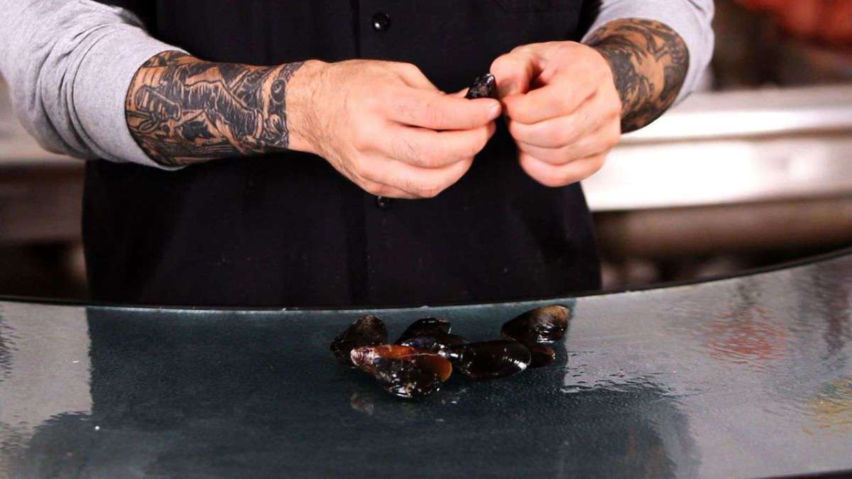 How to Clean Mussels Howcast